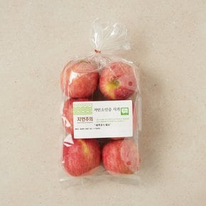 저탄소인증 햇사과 4~6입/봉 (1kg내외)