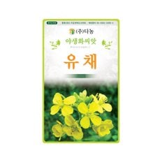  화분백화점 씨앗 꽃씨 잔디씨앗 배양토 모종판 나무씨앗 풀씨 (DN) 유채꽃 씨앗(5g.1kg.20kg)