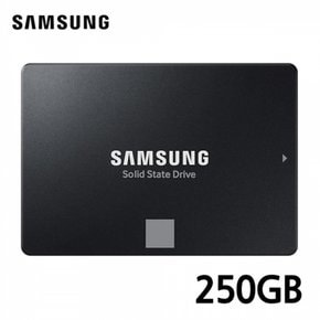 삼성 내장 SSD EVO SATA 870 250GB MZ-77E250B