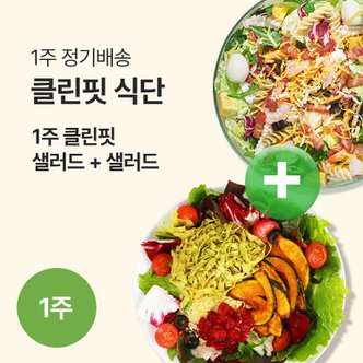 포켓샐러드 클린핏 1주 샐러드 식단 (12팩) / 하루 두 끼를 샐러드로 클린하게