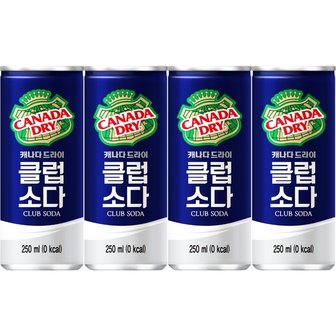  캐나다드라이 클럽소다 250ml 60캔