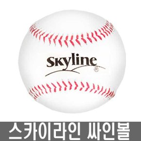 싸인볼 1개 싸인야구공 싸인공 싸인구
