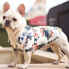 강아지 셔츠 여름옷 하와이안 꽃남방 애견 바캉스룩