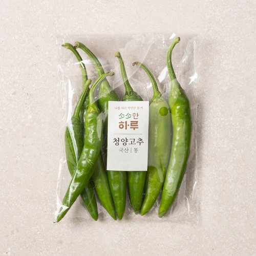 [SSG] 소소한 하루 청양고추(봉)