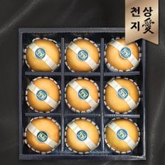 [바로발송][천상지愛]프리미엄 과일 선물세트[天] 배 9과[4.5KG]