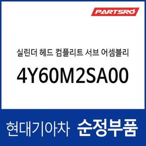 실린더 헤드 컴플리트 서브  (4Y60M2SA00) 쏘나타 DN8, 더뉴 싼타페