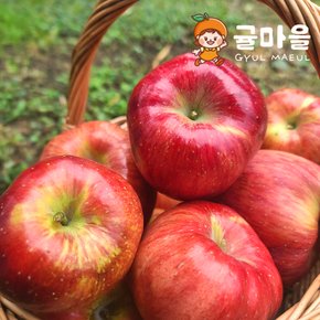 가정용 가을 빨간사과 간식 2kg 12과 내외
