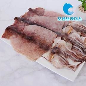 부드러운 국내산 반건조 오징어 1kg / 10마리