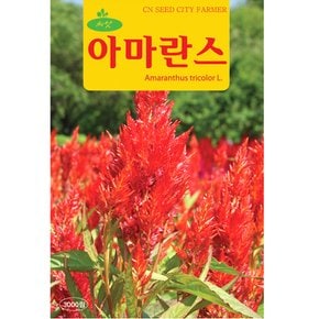 아마란스씨앗 3000립