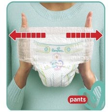 유럽산 베이비드라이 팬티3단계 기저귀 파우더향 Pampers 바우처