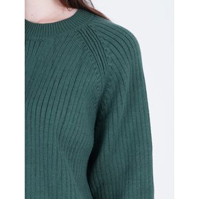 Hazzy Ribbed Raglan Knit (Green)