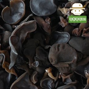 무농약 인증받은 전남강진 생 목이버섯 500g