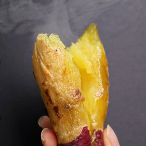 [오늘신선] 해남 산지직송 호풍미 호박고구마 비세척 중 3kg