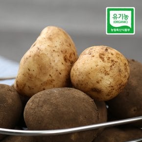 친환경 강원도 감자 중품 10kg