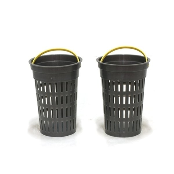 확대된 대표 image1