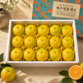 [9/15(화) 순차출고] 갓따온 제주 황금향 선물세트 4.5kg 대과 12-19과