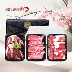 [1/13 순차출고][SSG정담]명품 횡성한우 구이세트 10호(750g/1등급이상/등심250gx1, 차돌박이250gx2)[아이스박스/정담보냉가방]