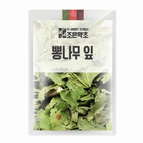 굿허브 뽕나무 잎 상엽  뽕잎 300g