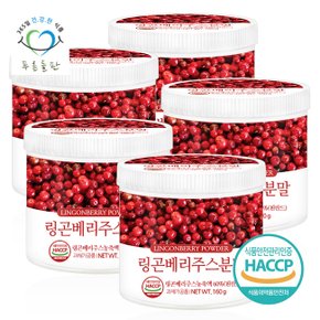 핀란드 링곤베리 주스 분말 가루 파우더 haccp 인증 160gx5통