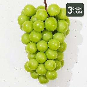 국내산 망고포도 샤인머스켓 2kg