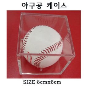 연식구 야구공 경식가죽 야구공케이스