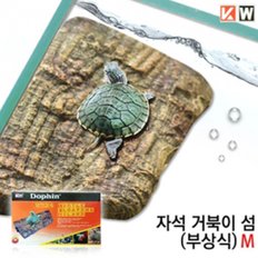 Dophin 도핀 거북이 섬 (대)