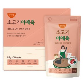 정성가득 소고기 야채죽 85g x 10개 애견간식