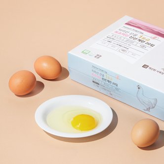  [3번사육] 지리산 산골 1등급 목초먹인 신선계란 20입 (1,040g)
