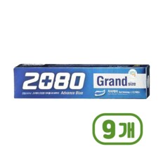 2080 어드밴스그랜드치약 대용량치약 220g X 9개