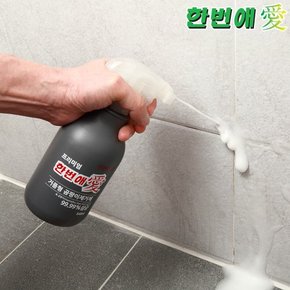 한번애 거품형 프리미엄 곰팡이제거제 540ml (2통) 벽지 벽 화장실 욕실 베란다 창틀