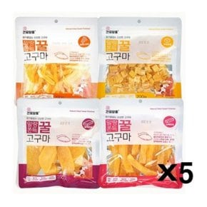 애견 건조간식 쫀득 말랭이 고구마 200gX5 선택 영양 (WD9916F)