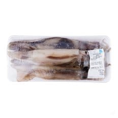  [해동][원양산] 오징어 (대, 마리)