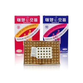 태양 으뜸 1박스 강/약