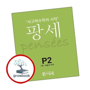 팡세 P-2 퍼즐과 전략