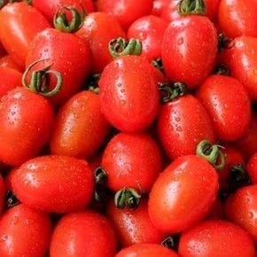 Fresh 대추 방울토마토 1kg 중소과