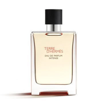 에르메스 떼르 데르메스 오드퍼퓸 인텐스 100ml
