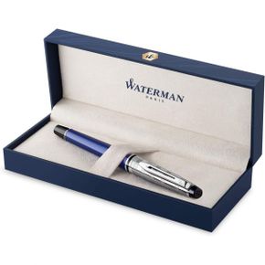 영국 워터맨 만년필 Waterman Expert Deluxe Fountain Pen Blue with Chiselled Cap Medium Nib