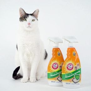 암앤해머 멀티 캣리터 디오더라이저 스프레이 636ml