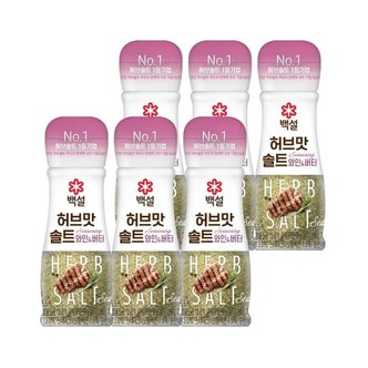 CJ제일제당 백설 스테이크 솔트 시즈닝 40g x6개