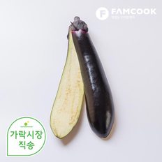 팸쿡 가락시장직송 가지 1개