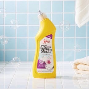 홈백신 락스세제 하나로 플로랄향 750ml x 2개