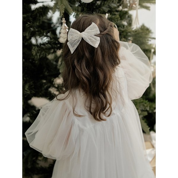 샤이닝 스텔라 헤어핀(집게)