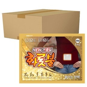 온종일 화롯불 핫팩 파스 부착형 40g X 240개