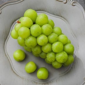 에어포장 고당도 샤인머스켓 2kg (4-5수)
