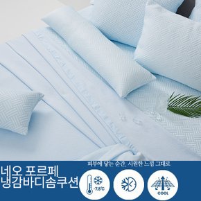 네오포르페냉감 시원한 바디솜쿠션 30x100 [정상가 145,000]