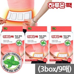 하루온팩 허리케어 찜질팩 3매입x3개