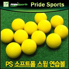 프라이드 골프스윙 연습볼 소프트폼볼 12개입 1팩