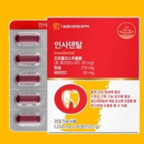 루미나 대웅생명과학 인사덴탈 1 250mg x 90정 (WE7F0F1)