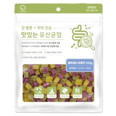 맛있는 유산균껌 블루베리혼합 300g 강아지간식