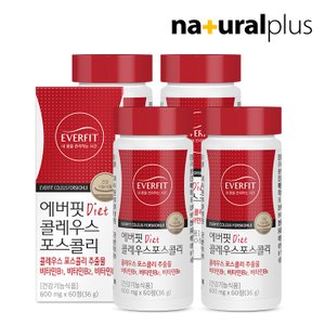 내츄럴플러스 에버핏 콜레우스포스콜리 60정 4병 / 빨간 다이어트 체지방 감소 비타민B